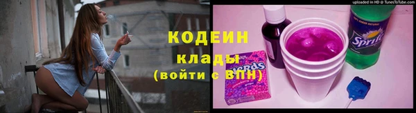 крисы Покачи