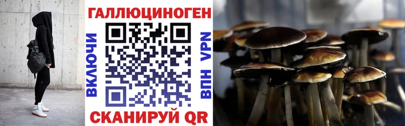 где можно купить наркотик  Холмск  Галлюциногенные грибы ЛСД 